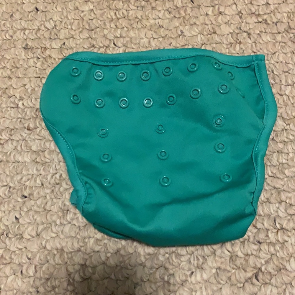 Lot of 11 Cloth Diapers - Thirsties, Swaddlebees, Totbots & Rumparooz - Picture 13 of 16